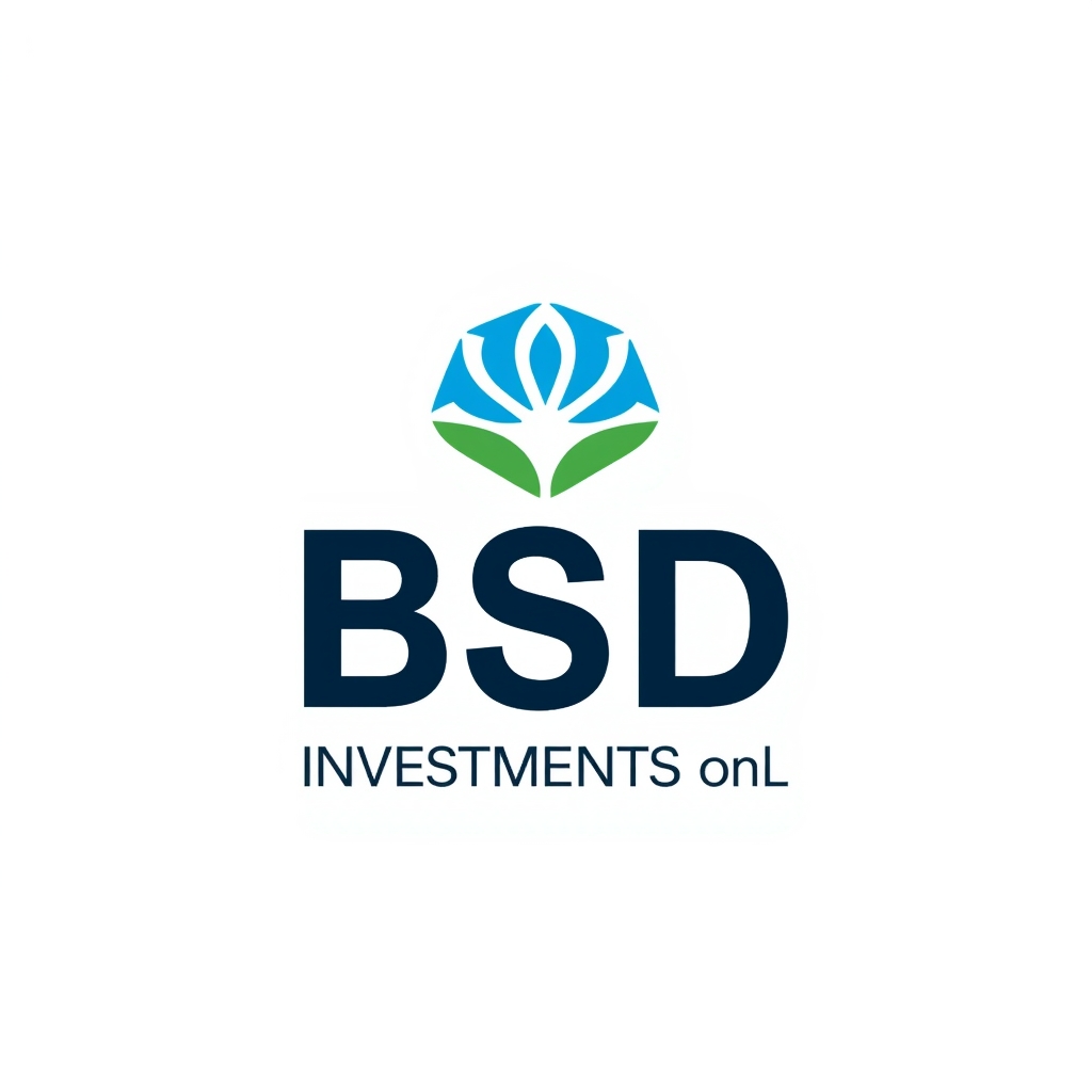 Bsdinvestments